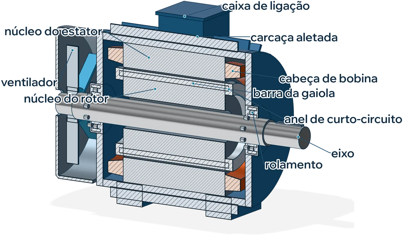 Motor de indução em corte